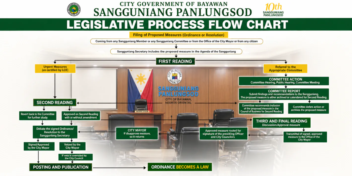 Legislative process flow chart of Bayawan City Council